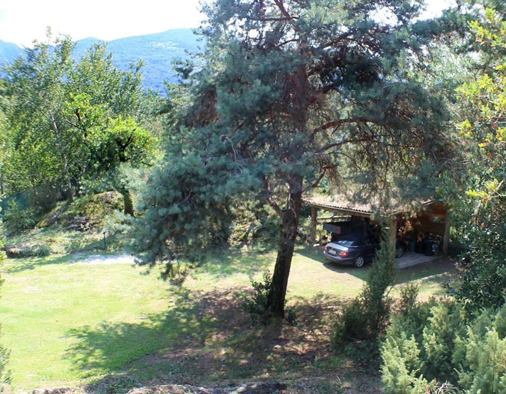 Villa Erica Con Piscina Privata Sul Lago Di Como Colico Zewnętrze zdjęcie